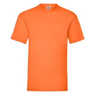 Valueweight T-Shirt, 100% Cotton, 160g/165g